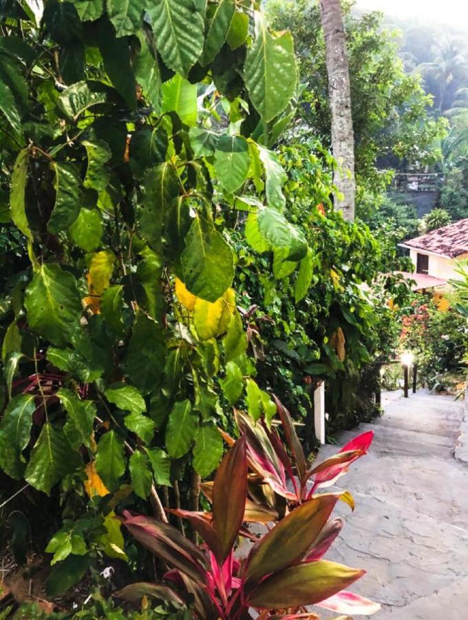 Remanso Da Ilha Bed & Breakfast Morro de Sao Paulo Exterior photo